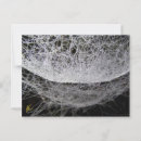 Search for water drop postcards Dew drops