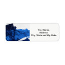 Search for frozen return address labels Ice
