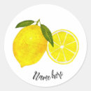 Search for citrus fruit stickers Watercolor