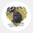 Search for gorilla stickers Design