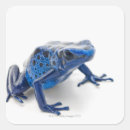 Search for dart frog stickers Cold blooded