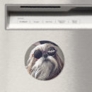 Search for shih magnets Dog