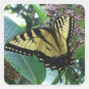Search for milkweed stickers Flower