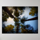 Search for looking up posters Blue