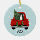 Search for bernese mountain dog christmas decor Pet