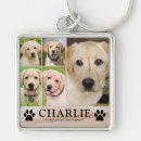 Search for dog rainbow bridge key rings Photo collage