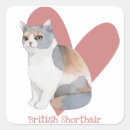Search for british shorthair cat stickers Feline
