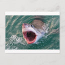 Search for off postcards Blue