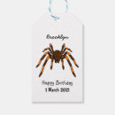 Search for arachnophobia gift wrap Spider