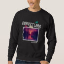 Search for convicted Vintage