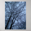 Search for snow covered trees posters Wonderland