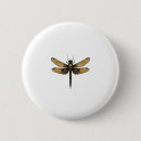 Search for amber badges Bug