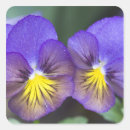 Search for closeup stickers Flower