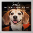 Search for cute and funny animal pictures posters Pets