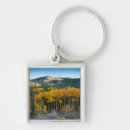 Search for aspen colorado key rings Anna miller