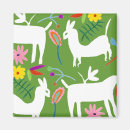 Search for llama magnets Mexico