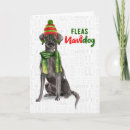 Search for black labrador christmas cards Funny
