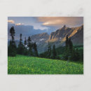 Search for logan postcards Montana