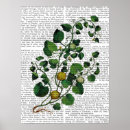 Search for squash posters Vine