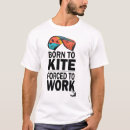 Search for kite Summer