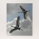 Search for sandhill crane puzzles Nature