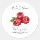 Search for raspberries stickers Raspberry