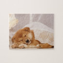 Search for shiba inu puzzles Animal