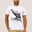 Search for old buzzard clothing Vulture