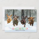 Search for sausage dog christmas cards Funny