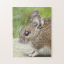 Search for mouse puzzles Rodent