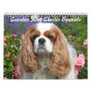 Search for spaniel calendars Ckcs