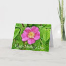 Search for wildflower mothers day cards Pink