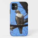 Search for birds of prey iphone cases Animals