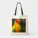 Search for conures accessories Animal