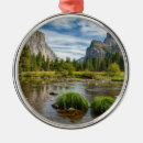 Search for yosemite christmas tree decorations River