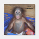 Search for love monkey magnets Primate