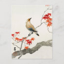 Search for bird postcards Ohara koson