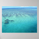 Search for fijian posters Island