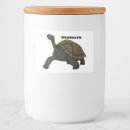 Search for tortoise labels Ecuador