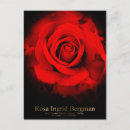 Search for ingrid Ingrid bergman