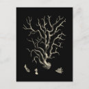 Search for blacks postcards Black background