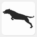 Search for jumping dog stickers Animal