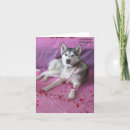 Search for husky valentines day cards Funny