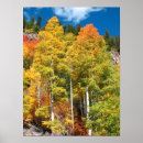 Search for fall colours posters Tree