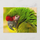Search for cathy horizontal postcards Superstock