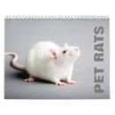 Search for rat calendars Animal