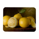 Search for still life rectangular magnets Studio shot