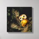 Search for tree bark canvas prints Brown