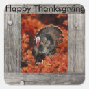 Search for turkey hunting stickers Thanksgiving