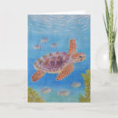 Search for turtle cards Colourful